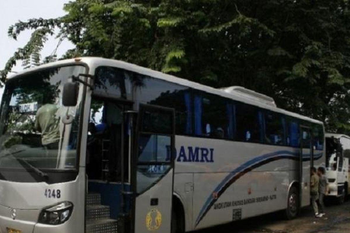 Ilustrasi bus Damri