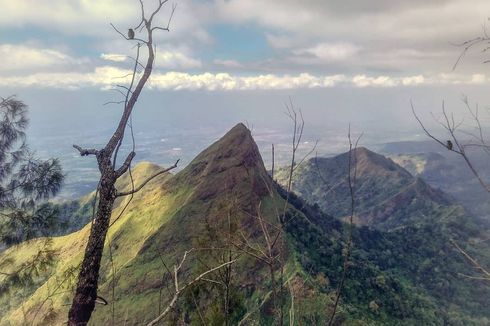 Detik-detik Multazam Jatuh dari Puncak Gunung Piramid, Terpeleset Saat Berfoto