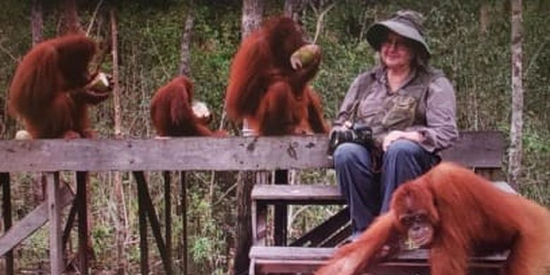 Dr. Birute Mary Galdikas bersama beberapa orangutan di Kalimantan