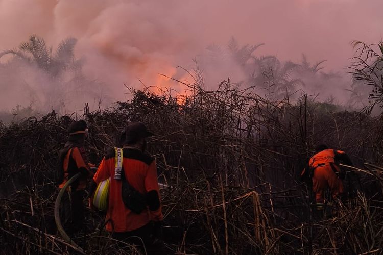 Karhutla Paser Kaltim: 67 Kejadian, 128,8 Hektare Lahan Terbakar