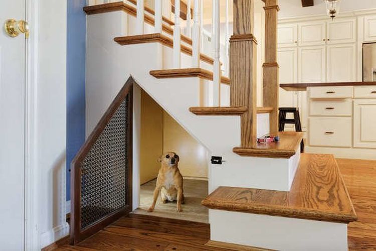 Rumah mungil untuk hewan kesayangan di bawah tangga
