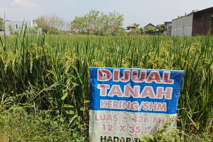 Rencana Bikin Lembaga Baru, Namanya Badan Reforma Agraria Nasional