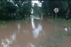 Bengawan Madiun Meluap, Jalan dan Sawah di Kabupaten Ngawi Terendam