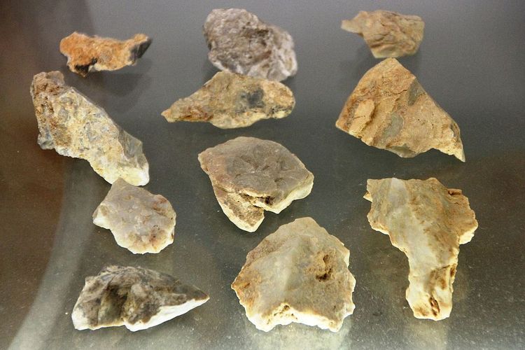 Flakes peninggalan Zaman Paleolithikum