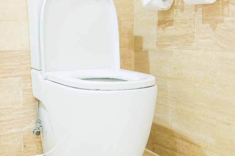 4 Cara Mudah Mengatasi Wc Mampet Halaman All - Kompas.com
