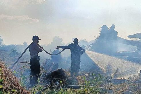 Kebakaran Lahan di Rokan Hulu Riau, Diduga Sengaja Dibakar Pemiliknya