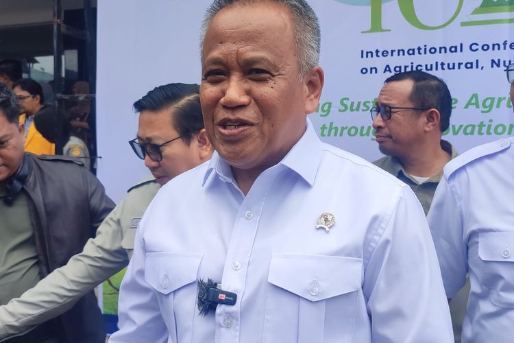 Wamentan Ungkap Penyebab Naiknya Harga Beras meski Stok Bulog Melimpah