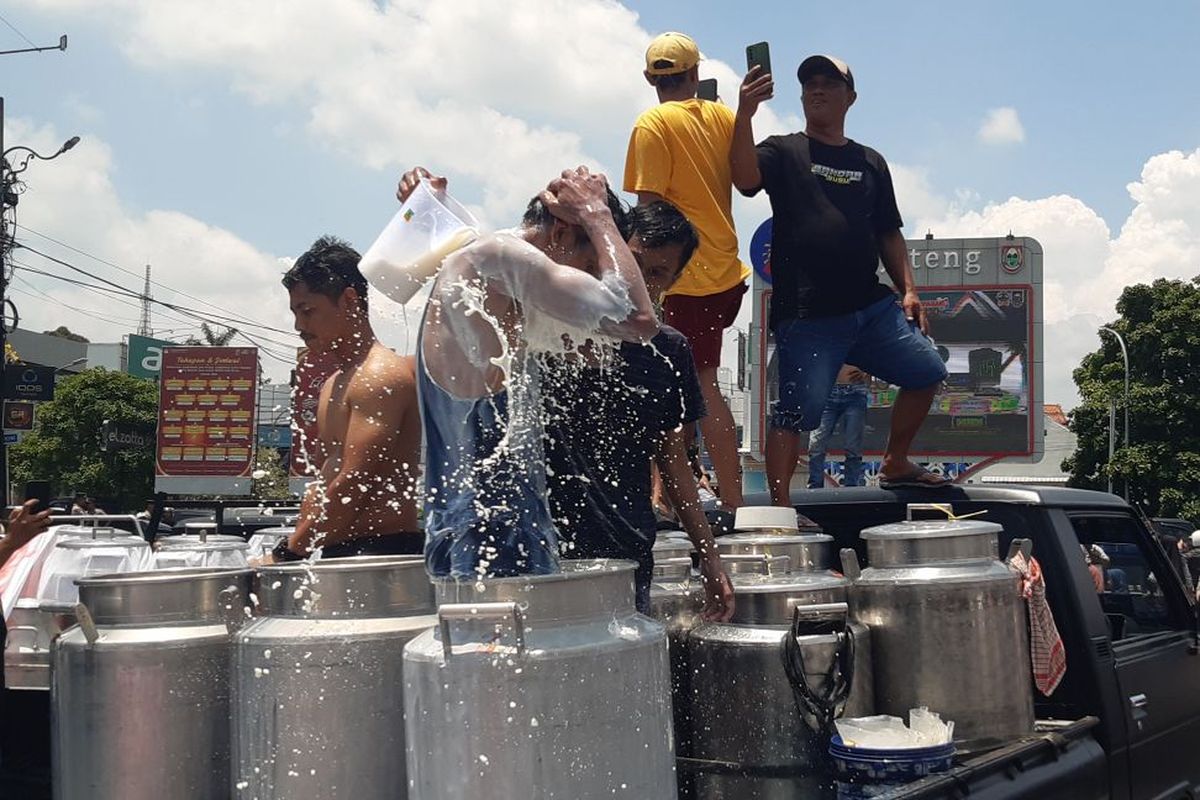 Aksi Peternak Mandi Susu di Boyolali dan Data Impor Susu Naik 21,19 Persen Per Agustus 2024