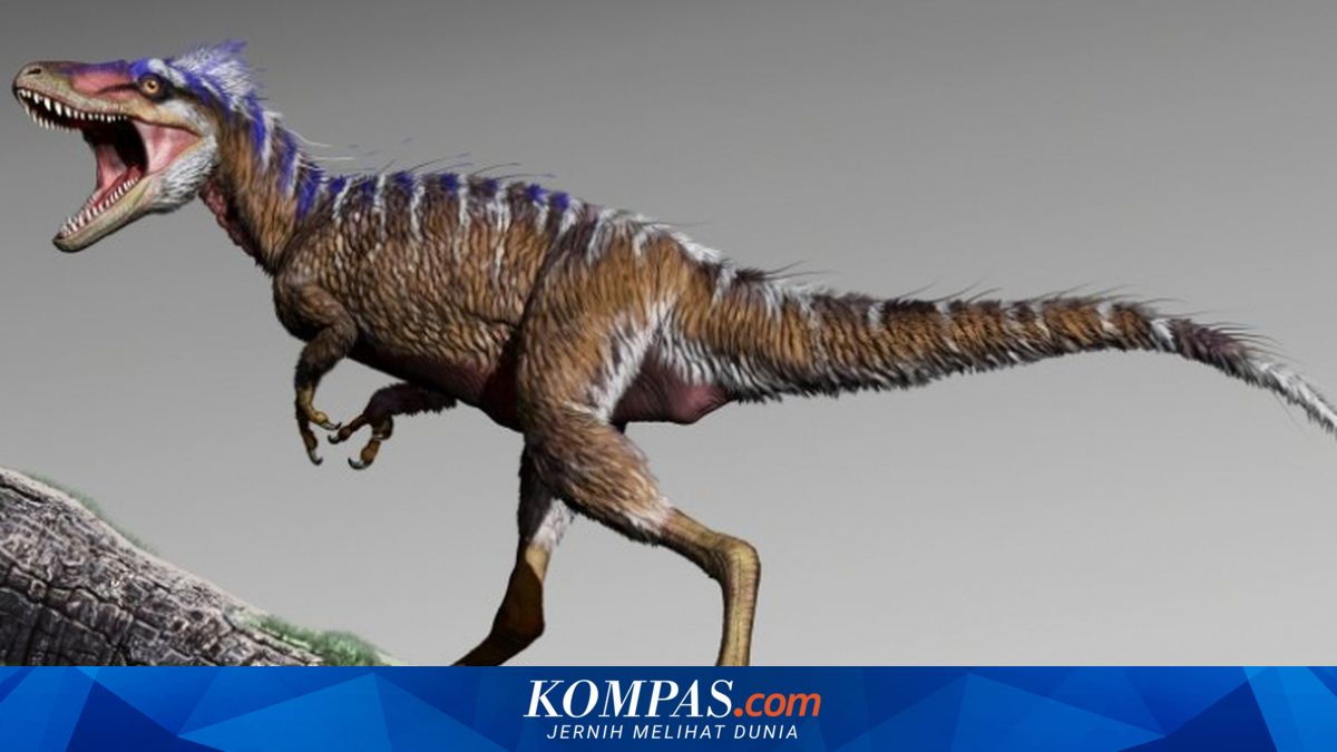 Nenek Moyang Sebesar Rusa dan 4 Fakta T-rex Lain yang Harus Anda Tahu