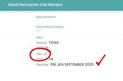 Cara Cek Penerima PBI JK BPJS Kesehatan November 2025, Klik cekbansos.kemensos.go.id
