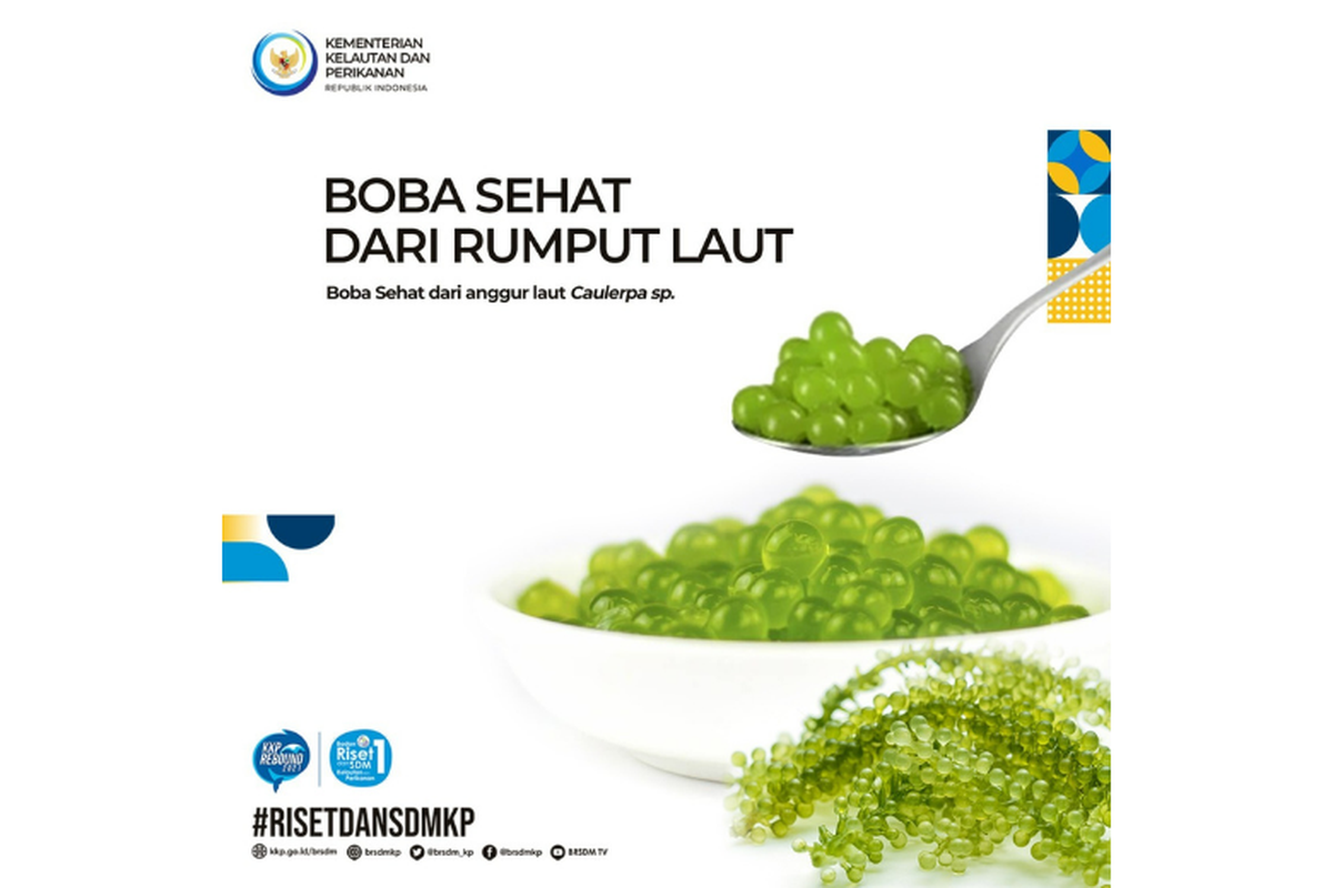 Boba sehat dari rumput laut.