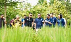 Program 'Smart Precision Farming' Dukung Ketahanan Pangan