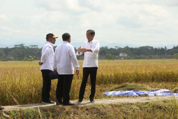 Menteri Pertanian (Mentan) Syahrul Yasin Limpo (SYL) saat mendampingi Presiden Republik Indonesia (RI) Joko Widodo (Jokowi) dalam panen raya nusantara di Kabupaten Kebumen, Jawa Tengah (Jateng), Kamis.

