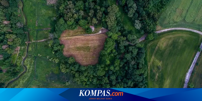 Ahli Temukan Bukti Kekejaman Nazi di Polandia - Vimarsana News
