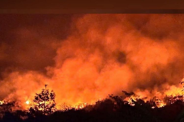 Karhutla Hanguskan 20 Hektar Pegunungan Datarhuni Sukabumi