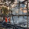 Kandang Ternak di Ambarawa Terbakar, 7.000 Anak Ayam Hangus Dilalap Api