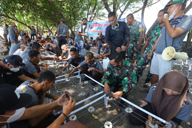 Kegiatan penanaman transplantasi terumbu karang yang diselenggarakan Pangkalan TNI AL Banyuwangi, di pantai Desa Bangsring, Kecamatan Wongsorejo, Kabupaten Banyuwangi, Jawa Timur, Selasa (12/4/2022).