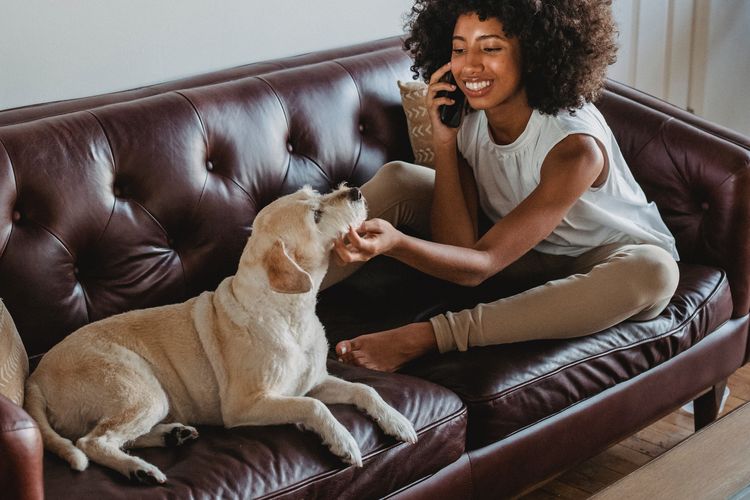 750px x 500px - Mengapa Anjing Bisa Begitu Akrab dengan Manusia? Halaman all - Kompas.com