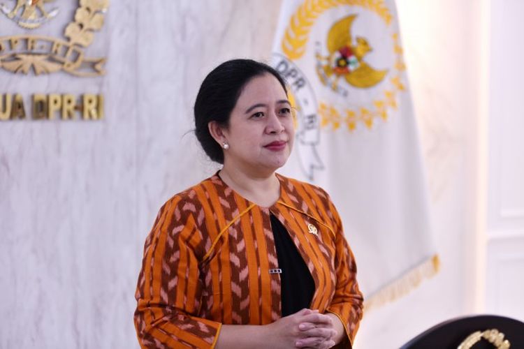 Ketua DPR Puan Maharani