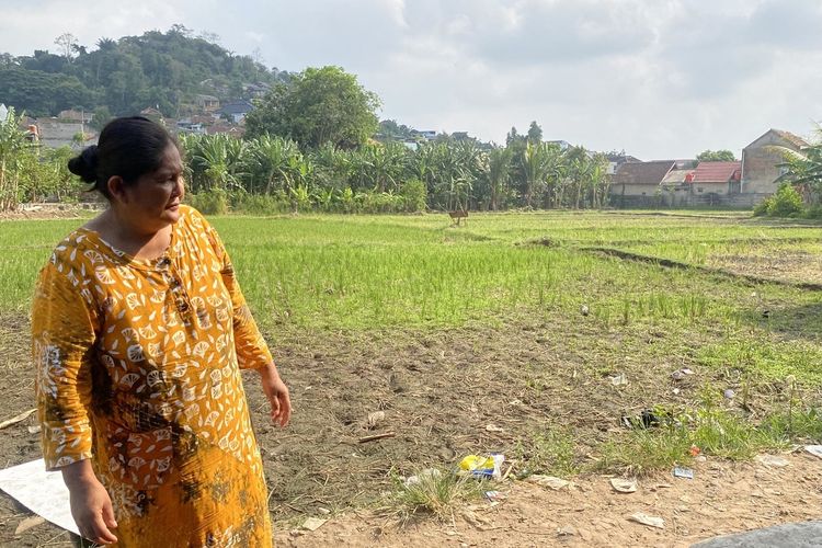 Harga Gabah Dinilai Terlalu Murah, Petani Lampung Pilih Simpan Hasil Panen untuk Makan Sendiri