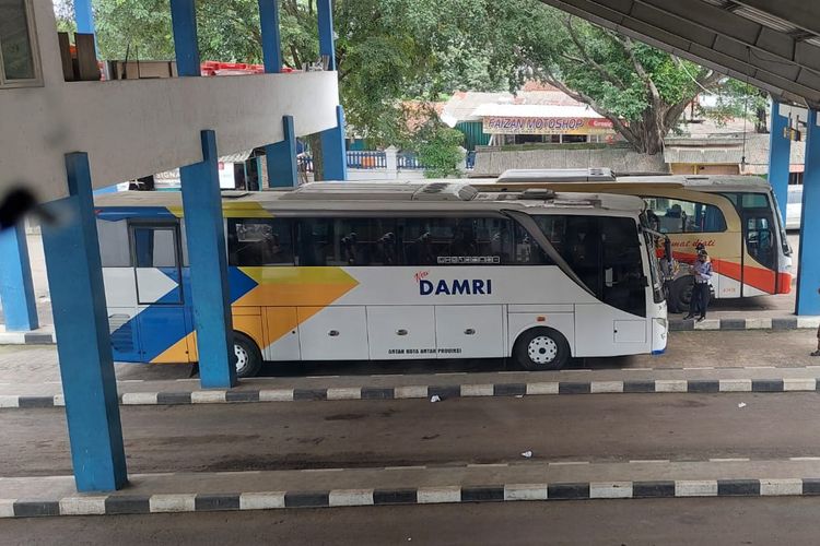 Bus DAMRI dengan rute Bogor-Subang