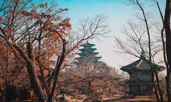 Indonesia Bisa Belajar dari Korea Selatan untuk Majukan Sektor UMKM