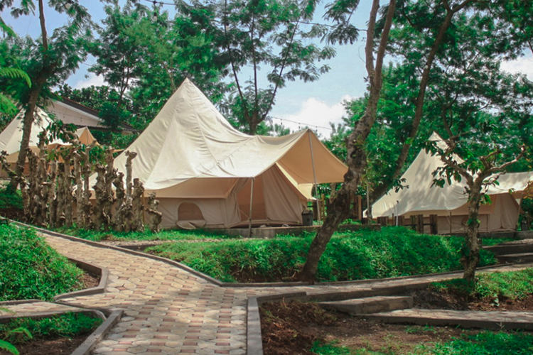 Coffe Camp bagi yang ingin berkemah di perkebunan kopi, kawasan Kampoeng Kopi Banaran, salah satu wisata alam Semarang yang menarik untuk dikunjungi.