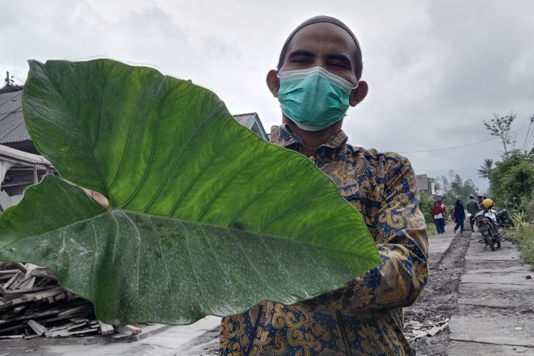 Warga menunjukkan abu vulkanik yang hujani pemukiman di Dusun Curah Kobokan, Desa Supit Urang, Kecamatan Pronojiwo, Kabupaten Lumajang, Senin (28/2/2022)