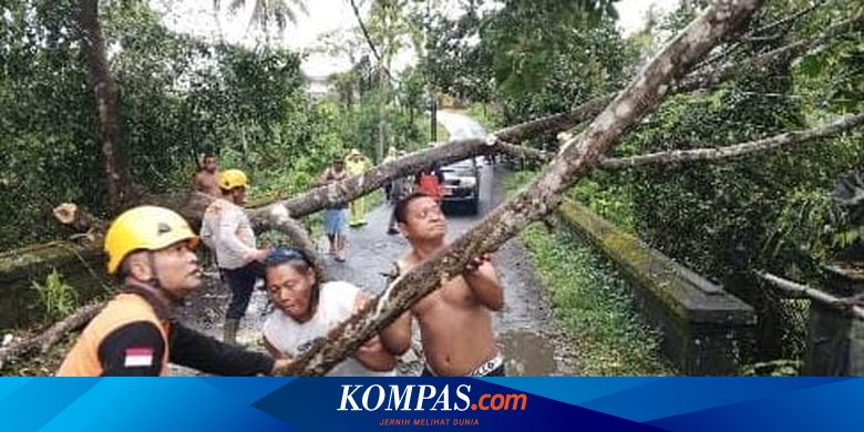 Dampak Banjir di Karangasem Bali: 310 Warga Mengungsi, Rumah dan Ternak Hanyut, Kerugian Rp 1,8 M