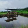 Desa Wisata Golo Loni NTT Tawarkan Paket Memancing Ikan di Sawah