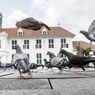 Mengapa Ada Begitu Banyak Merpati di Kota Besar Dunia?