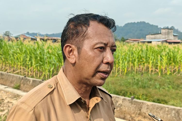 Sawah Kekeringan Usai Tanam, Petani Serayu Samarinda Tak Punya Sumber Air