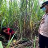 Kerangka yang Ditemukan di Ladang Tebu Bantul Ternyata Pria, Ini Cirinya