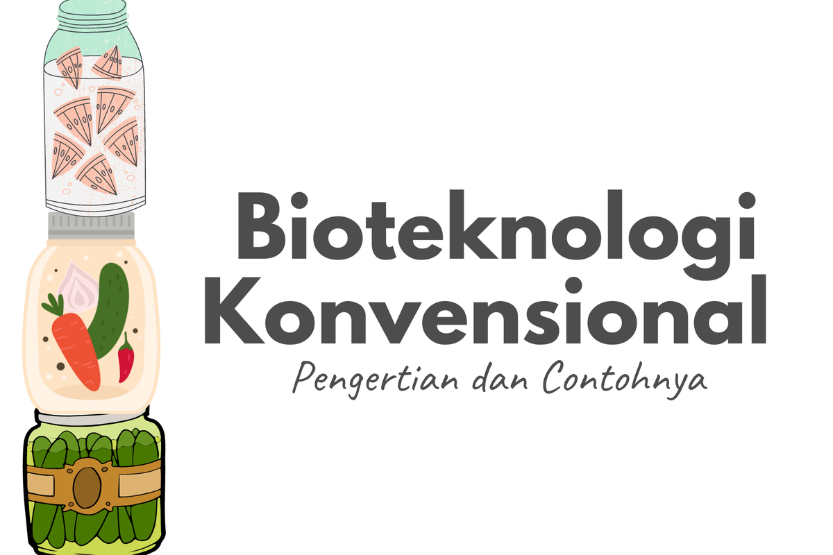 Bioteknologi Konvensional Pengertian dan Contohnya