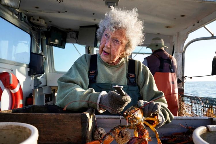 Virginia Oliver (101 tahun), mengukur dan mengikat lobster di kapal putranya Max Oliver, 31 Agustus 2021, di lepas pantai Rockland, Maine.