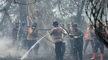 19 Pembakar Hutan di Riau Jadi Tersangka, Polisi: Pelaku Perorangan, Bukan Korporasi