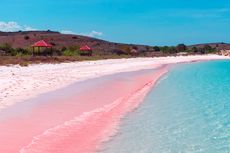 Pantai Pink Bima, Surga di Ujung Timur Pulau Sumbawa