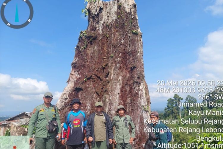 10.000 Hektare Hutan Taman Nasional Kerinci Seblat Bengkulu Rusak, Pembalakan Liar Jadi Biang Utama