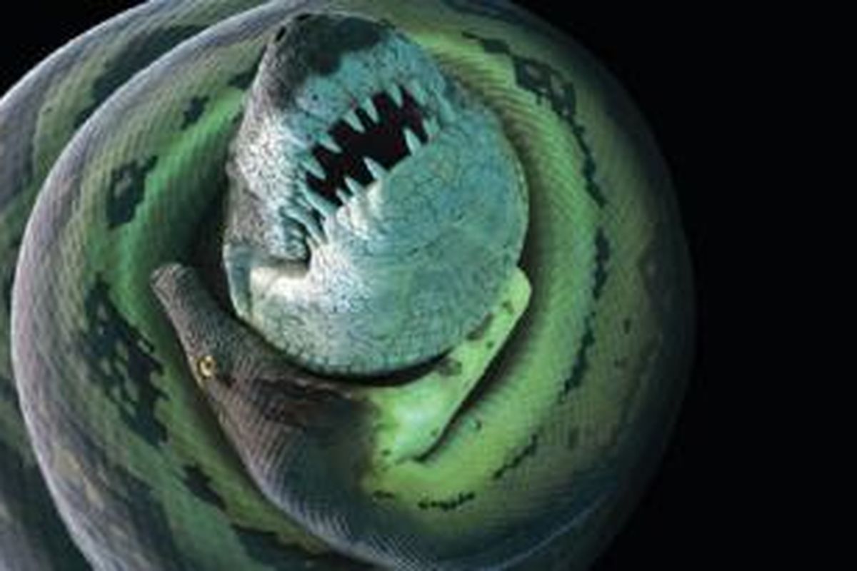 Anthracosuchus balrogus hidup 60 juta tahun lalu, bersama dengan ular raksasa Titanoboa.