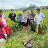 Sempat Hilang, Perempuan Muda di Cilacap Diduga Dibunuh, Mayatnya Ditemukan Tertutup Lumpur di Sawah