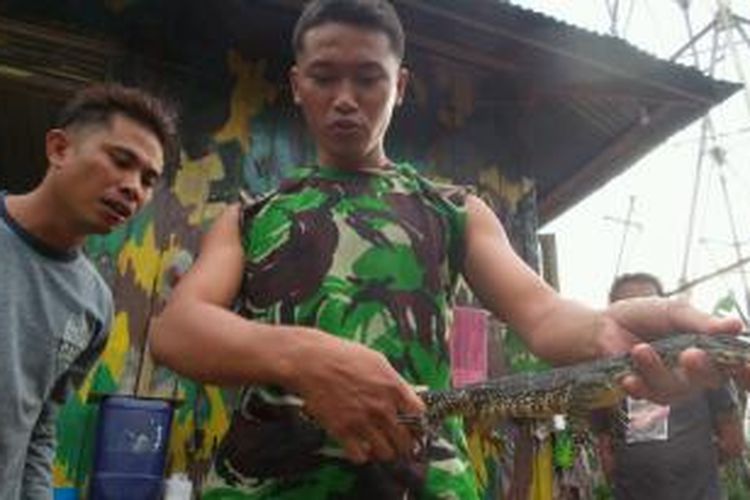 Biawak yang masuk ke pukat para prajurit TNI di Pos Pengamanan Perbatasan di Desa Betaoh Kecamatan Kayan Hulu, Malinau, Kalimantan Utara, Kamis (4/12/2014). Biawak ini terjaring di Sungai Pengian, yang mengalir di depan pos. 