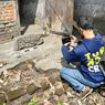 Disbudpar Kediri Teliti Arca Kepala Kala yang Ditemukan Warga, Diduga dari Mataram Kuno