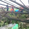 Pohon Tumbang Halangi Rel di Lamongan, Perjalanan KA Jayabaya Sempat Terhenti 10 Menit