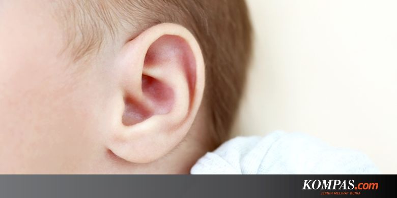Misteri Tubuh Manusia: Kenapa Kita Punya Kotoran Telinga?