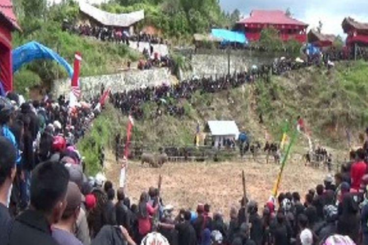 Tradisi Rambu Solo tidak hanya jadi pesta puncak uacara kematian namun juga menjadi ajang perekat keluarga bangsawan di Mamasa, Sulawesi Barat, Sabtu (1/7/2017). Tak heran jika acara tersebut selalu dihadiri ribuan warga terutama turunan bangsawan dari pemilik hajatan yang sedang menggelar pesta rambu Solo. Tak jarang sanak keluarga yang merantau ke luar daerah selama puluhan tahun sengaja datang untuk menghadiri upacara tersebut.