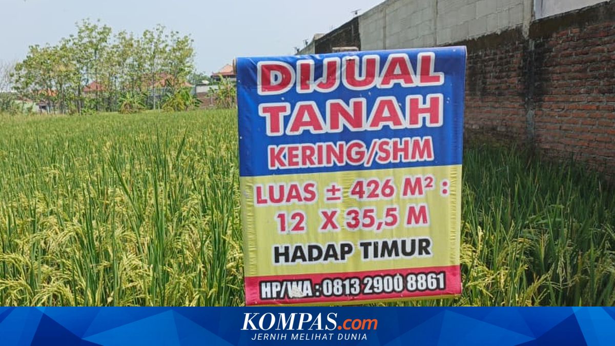 Mengenal Tanah KW yang Sering Jadi Biang Sengketa Tanah