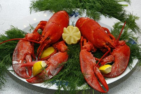 Perjalanan Lobster dari Ransum Narapidana sampai Jadi Makanan Mewah