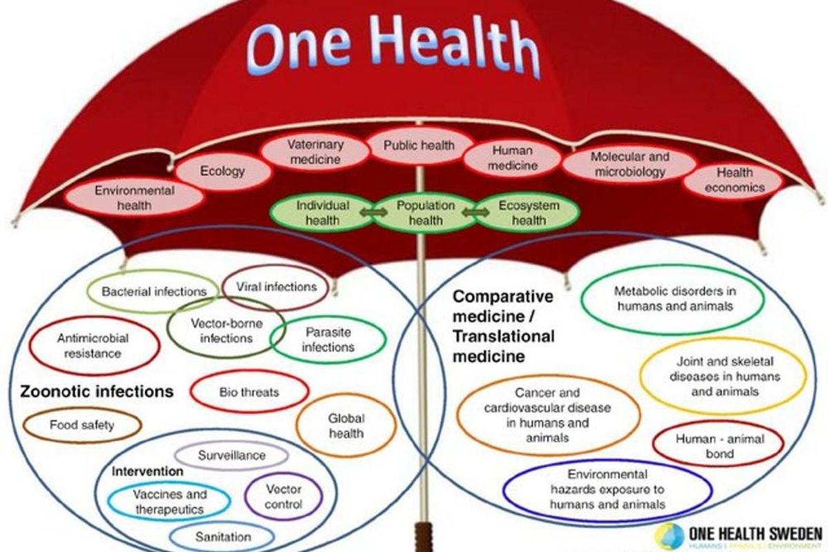 One Health Umbrella dikembangkan oleh One Health Swedia dan One Health Initiative untuk ilustrasi cakupan konsep 