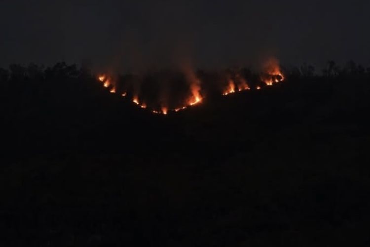 Kebakaran di Gunung Bromo Belum Padam, Petugas Masih Berjibaku Jinakkan Api