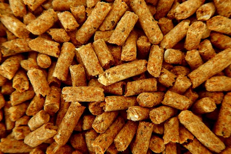 Ilustrasi pelet kayu atau wood pellet.